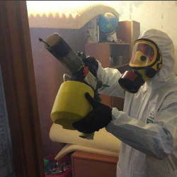 Уничтожение клопов в квартире. Дегтярск